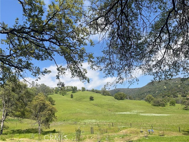 29503 Spence Lane, Tollhouse CA: https://media.crmls.org/medias/e8ba02d1-4bbd-4f88-a0ba-997ac565fefa.jpg