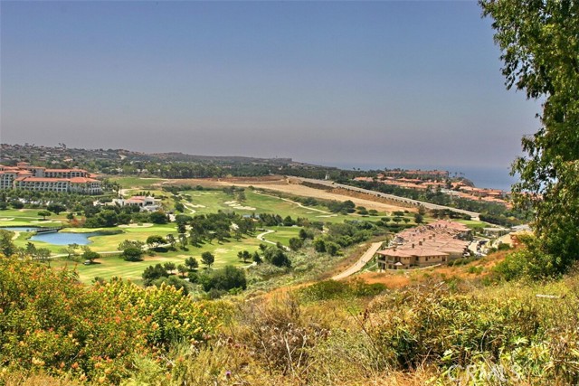 34110 Selva Road, Dana Point CA: https://media.crmls.org/medias/e8bc4530-4306-4aec-839c-72f2f841d299.jpg