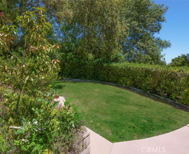 Backyard Lower Terrace Grassy Area