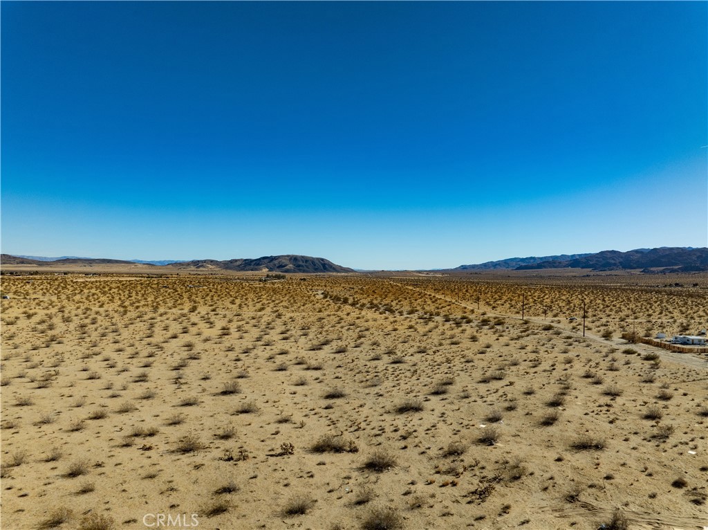 MLS #JT25237705 image #6