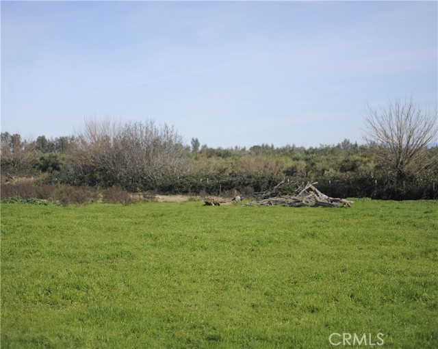 Detail Gallery Image 10 of 66 For 6156 County Road 14, Orland,  CA 95963 - 2 Beds | 1 Baths