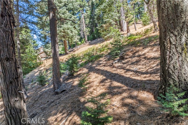 Detail Gallery Image 61 of 69 For 899 Blue Ridge, Lake Arrowhead,  CA 92385 - 3 Beds | 2 Baths