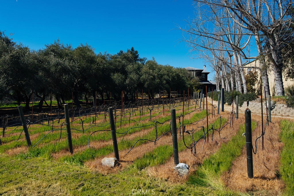 E8D44E74 6Ccb 4F5F B1Ac 844Afb799535 1001 Silverado Trail South, St. Helena, Ca 94574 &Lt;Span Style='BackgroundColor:transparent;Padding:0Px;'&Gt; &Lt;Small&Gt; &Lt;I&Gt; &Lt;/I&Gt; &Lt;/Small&Gt;&Lt;/Span&Gt;