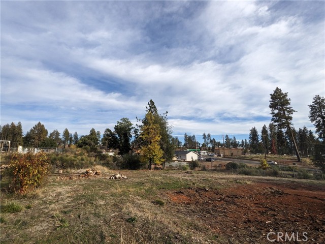 6642 Whittall Lane, Paradise, California 95969, ,Land,For Sale,6642 Whittall Lane,CRSN23205819