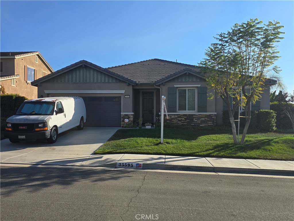 35595 Sugar Maple