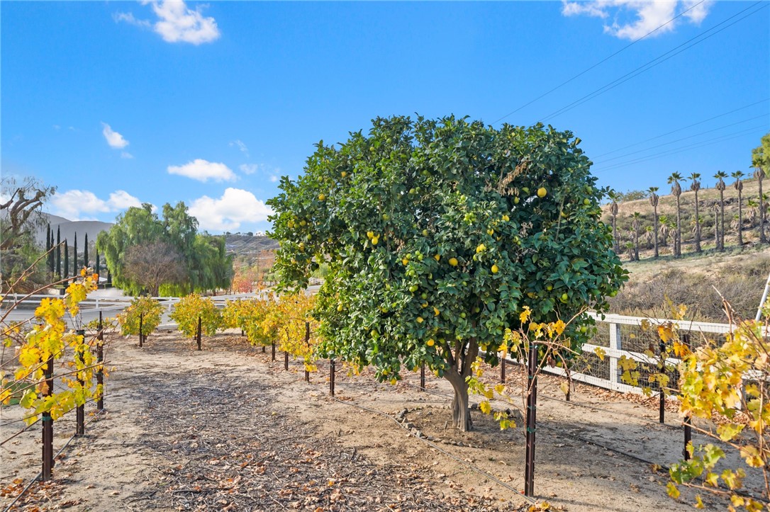 Detail Gallery Image 24 of 71 For 36990 Los Alamitos Dr, Temecula,  CA 92592 - 3 Beds | 2/1 Baths