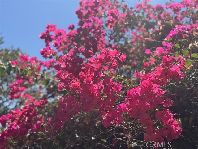 11050 Keswick Street, Sun Valley CA: https://media.crmls.org/medias/e8dfbf9a-04cc-4ac3-a1ac-828b891d5719.jpg