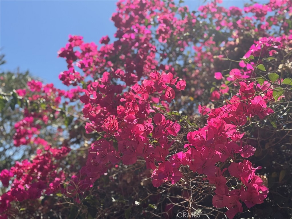 https://media.crmls.org/medias/e8dfbf9a-04cc-4ac3-a1ac-828b891d5719.jpg?preset=X-Large