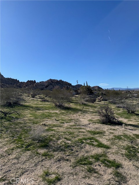 Detail Gallery Image 39 of 57 For 7117 Bonita, Joshua Tree,  CA 92252 - 3 Beds | 2 Baths