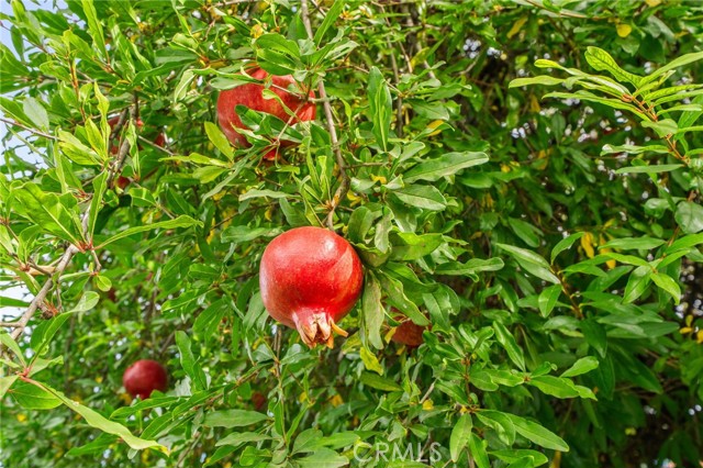 Detail Gallery Image 24 of 31 For 35167 San Carlos St, Yucaipa,  CA 92399 - 3 Beds | 2 Baths