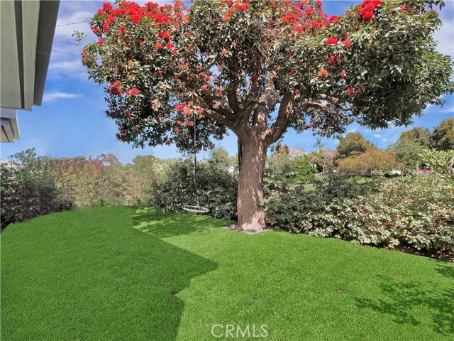 Grassy enclosed front yard.