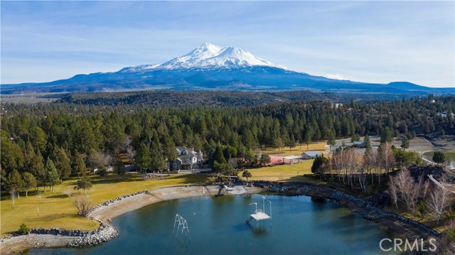 15733 Juniper Peak Road, Weed, California 96094, 5 Bedrooms Bedrooms, ,5 BathroomsBathrooms,Single Family Residence,For Sale,Juniper Peak,NP20015816