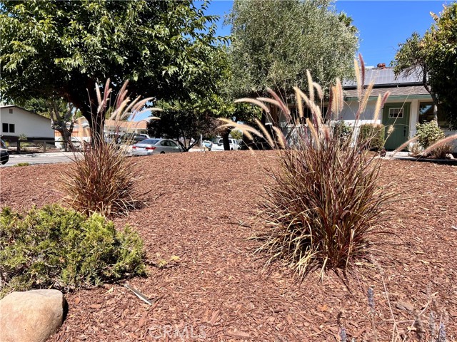 Detail Gallery Image 1 of 26 For 1247 Lana St, Paso Robles,  CA 93446 - – Beds | – Baths