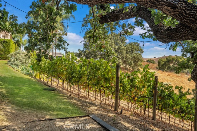 Detail Gallery Image 44 of 64 For 5732 Colodny Dr, Agoura Hills,  CA 91301 - 4 Beds | 3 Baths