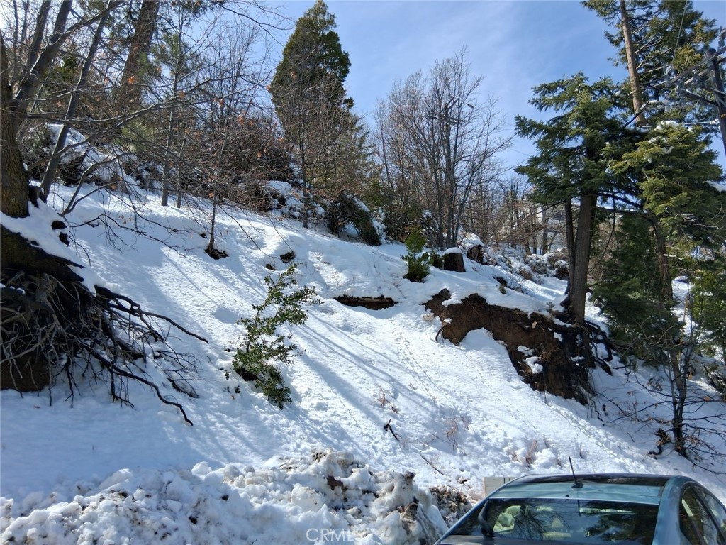 MLS #IV25051475 image #3