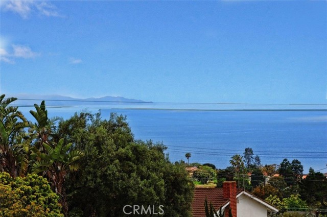 Catalina Island View