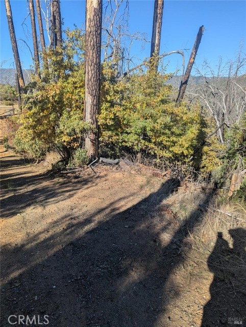 Detail Gallery Image 3 of 38 For 1833 Hunter Point Rd, Upper Lake,  CA 95485 - – Beds | – Baths