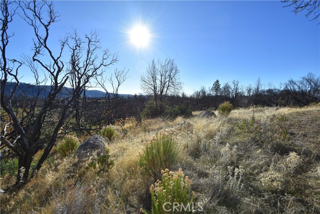 Detail Gallery Image 7 of 36 For 21 Cedar Tree Ln, Oroville,  CA 95966 - – Beds | – Baths