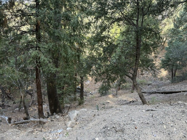 Detail Gallery Image 14 of 16 For 0 Mojave River Rd, Cedarpines Park,  CA 92322 - – Beds | – Baths