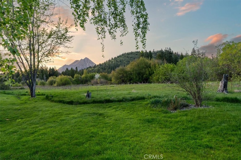 https://media.crmls.org/medias/e9081a21-2da6-4cb6-af8e-2a9f018e62f4.jpg?preset=X-Large