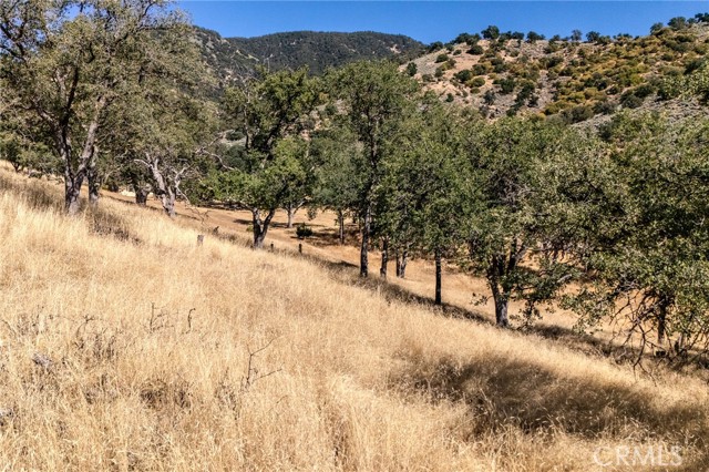 0 Armed Court, Tehachapi CA: https://media.crmls.org/medias/e914bea5-9a16-45e4-879c-d6573f9a3ef9.jpg