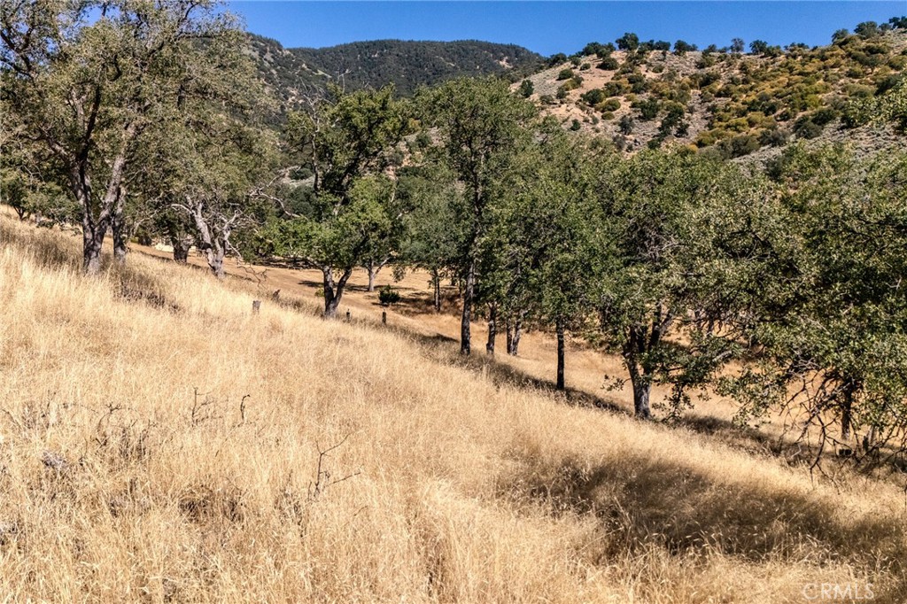 MLS #PI25150559 img 7