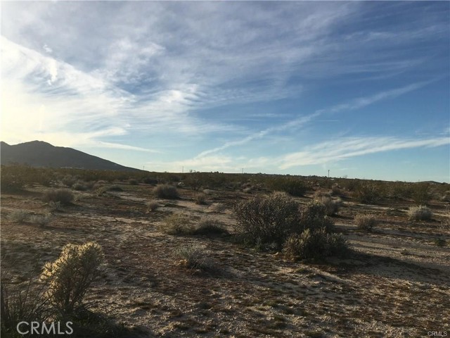 Detail Gallery Image 2 of 4 For 0 California, Joshua Tree,  CA 92252 - – Beds | – Baths