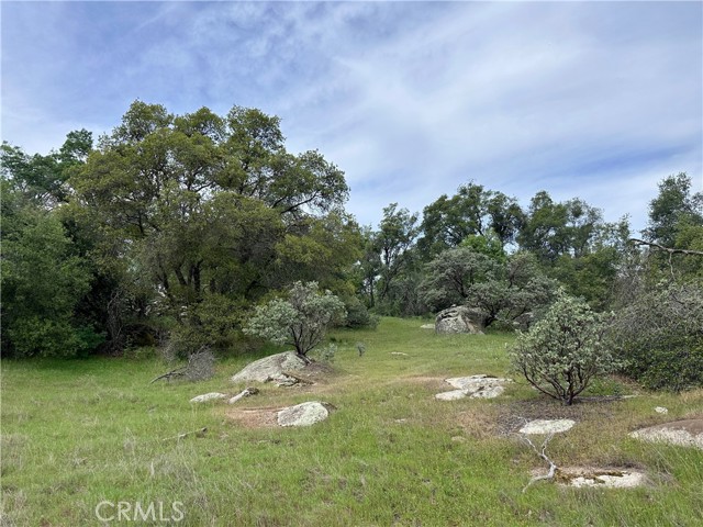 3038 Country Court, Mariposa CA: https://media.crmls.org/medias/e9174ef5-60da-4806-8d5e-b2dce4104380.jpg