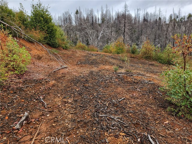 Detail Gallery Image 4 of 8 For 0 Oro-Quincy, Berry Creek,  CA 95916 - – Beds | – Baths