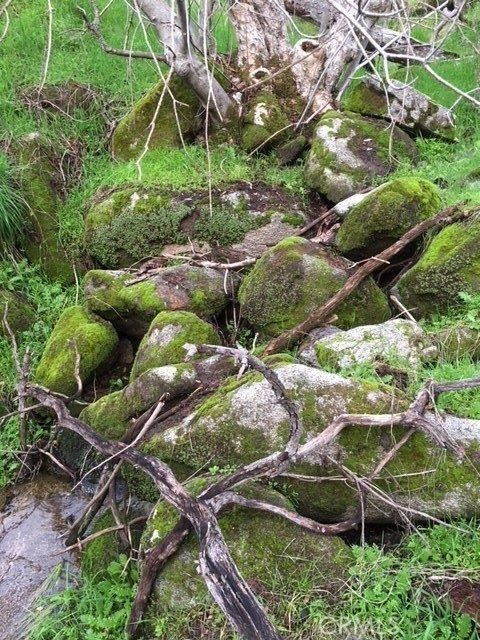 Detail Gallery Image 30 of 64 For 37 Lynx Ln, Prather,  CA 93651 - – Beds | – Baths