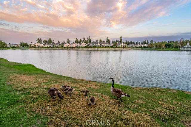 Detail Gallery Image 27 of 30 For 17 Fallbrook, Irvine,  CA 92604 - 3 Beds | 2 Baths