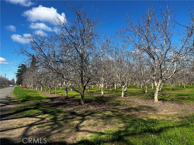 Detail Gallery Image 5 of 15 For 3900 Stephens Rd, Corning,  CA 96021 - 2 Beds | 1 Baths