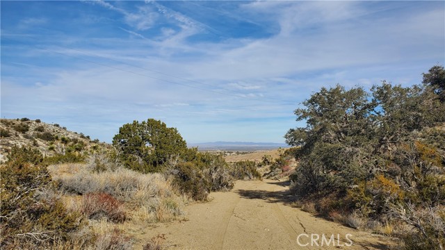 MLS #SR25242278 image #15