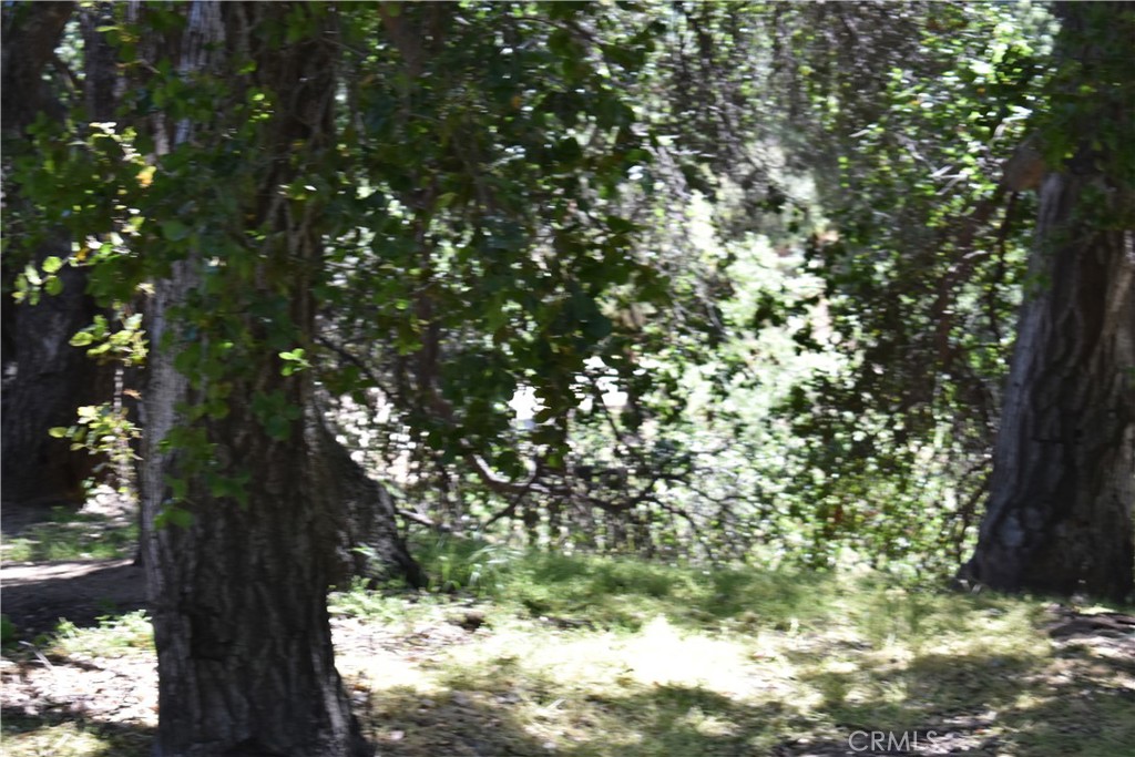 MLS #HD25051670 image #20