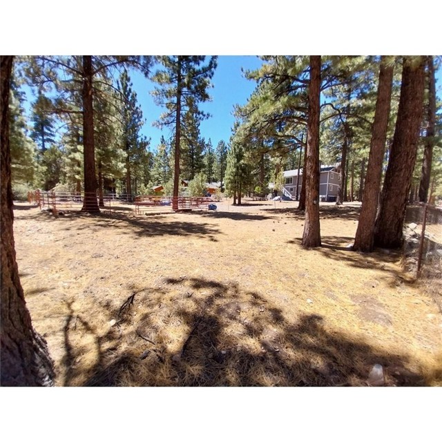 Detail Gallery Image 4 of 23 For 1140 Mitchell Ln, Big Bear City,  CA 92314 - 2 Beds | 2 Baths