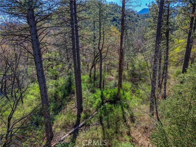 Detail Gallery Image 11 of 19 For 15347 Western Mine, Middletown,  CA 95461 - – Beds | – Baths