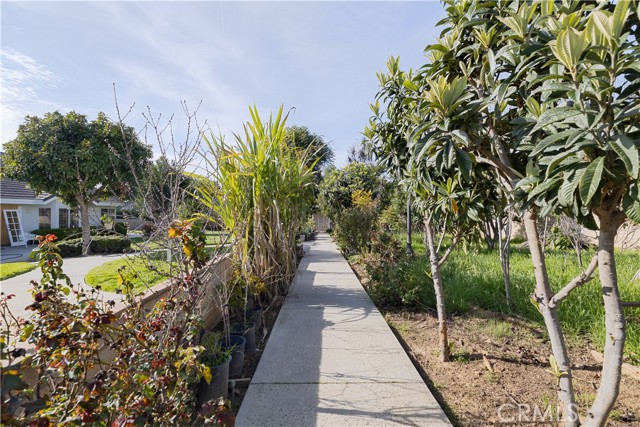 Backyard walking path