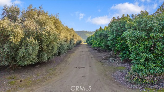 Detail Gallery Image 11 of 51 For 19400 398, Woodlake,  CA 93286 - – Beds | – Baths