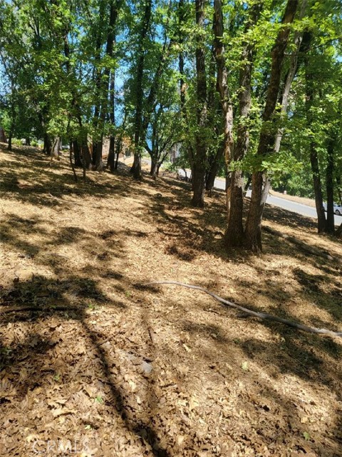 3059 Riviera Heights Drive, Kelseyville CA: https://media.crmls.org/medias/e93158cc-e96f-41e4-88db-bbe5811ec5a1.jpg