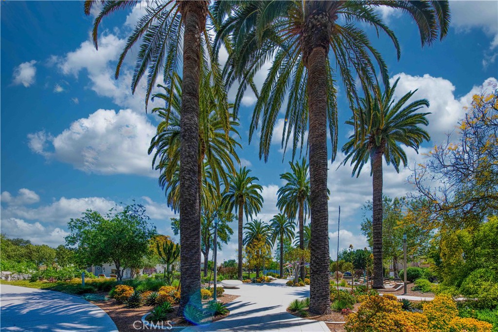 MLS #TR25277434 image #45