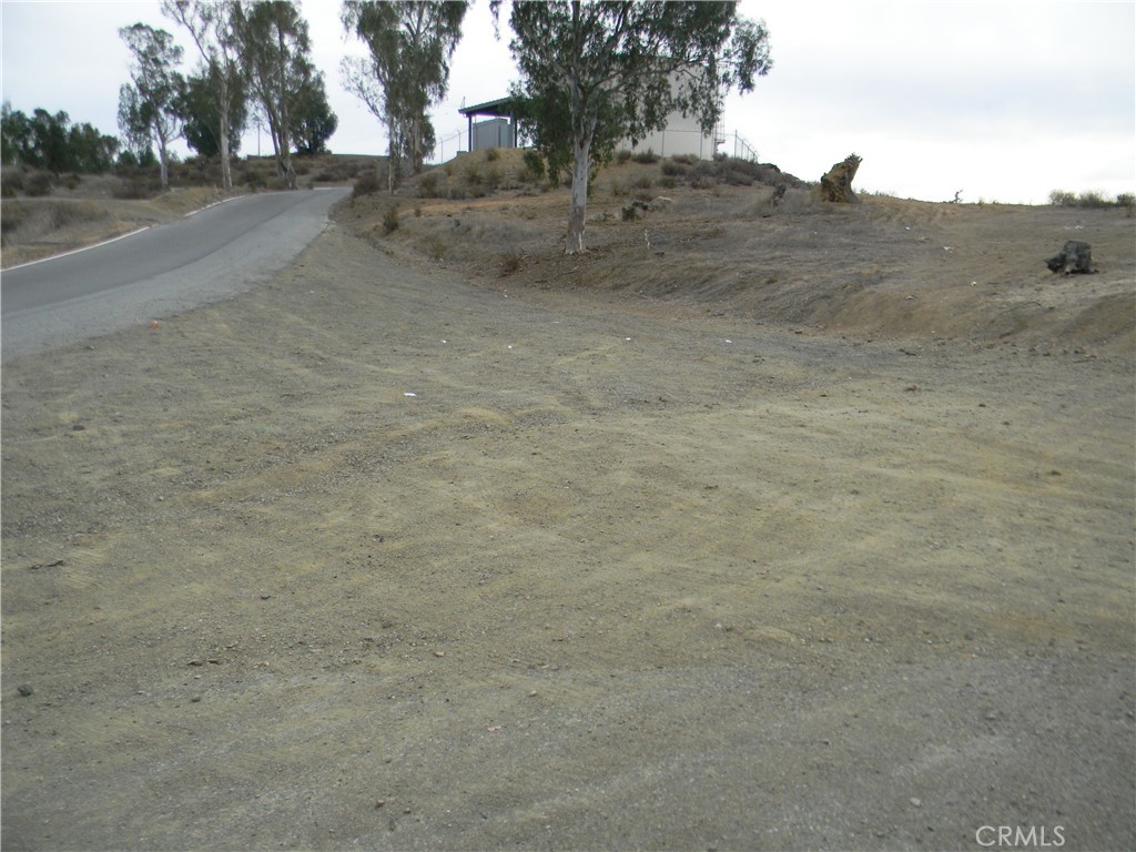 MLS #SW25275079 image #5