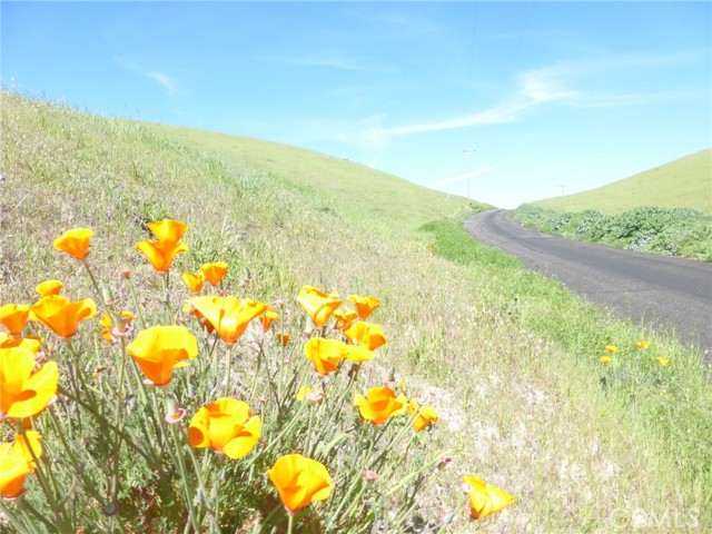 Front Image Thumbnail for CRNS26056275