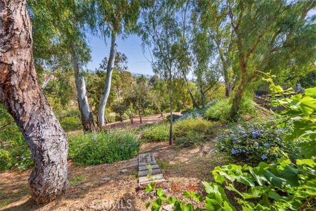 5709 Holly Ridge Drive, Camarillo CA: https://media.crmls.org/medias/e93bafa7-2b97-4a48-94a0-07092a41d882.jpg