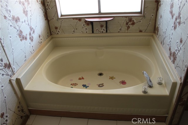 primary bathroom tub
