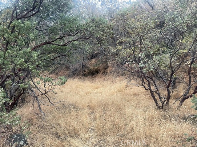 Detail Gallery Image 7 of 19 For 43020 Apache Ranch Rd, Ahwahnee,  CA 93601 - – Beds | – Baths