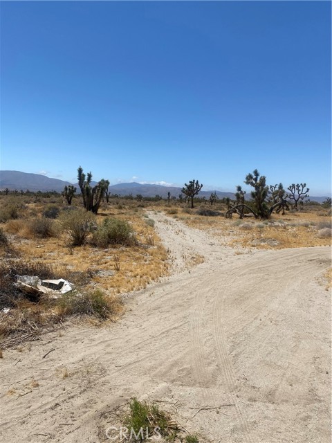 0 Vac/vic Avenue R8/120th, Littlerock, CA, 93543 0 Vac/vic Avenue R8/120th, Littlerock, CA, 93543