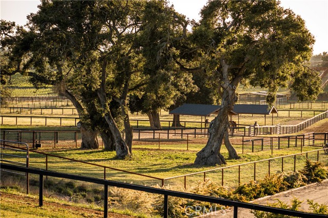 Detail Gallery Image 45 of 60 For 1977 W San Marcos Pass Rd, Santa Ynez,  CA 93460 - – Beds | – Baths