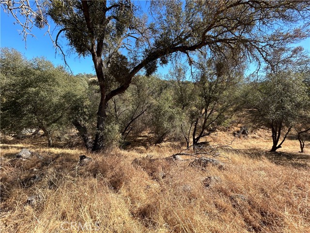 Detail Gallery Image 24 of 30 For 31083 Bear Paw Way, Coarsegold,  CA 93614 - 4 Beds | 2 Baths