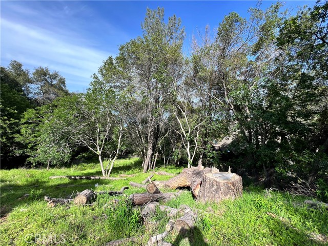 3356 Southlake, Kelseyville, CA, 95451 3356 Southlake, Kelseyville, CA, 95451