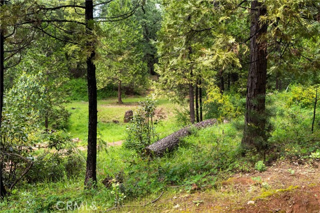 Image 1 of 24 For 21324 Aqueduct Circle